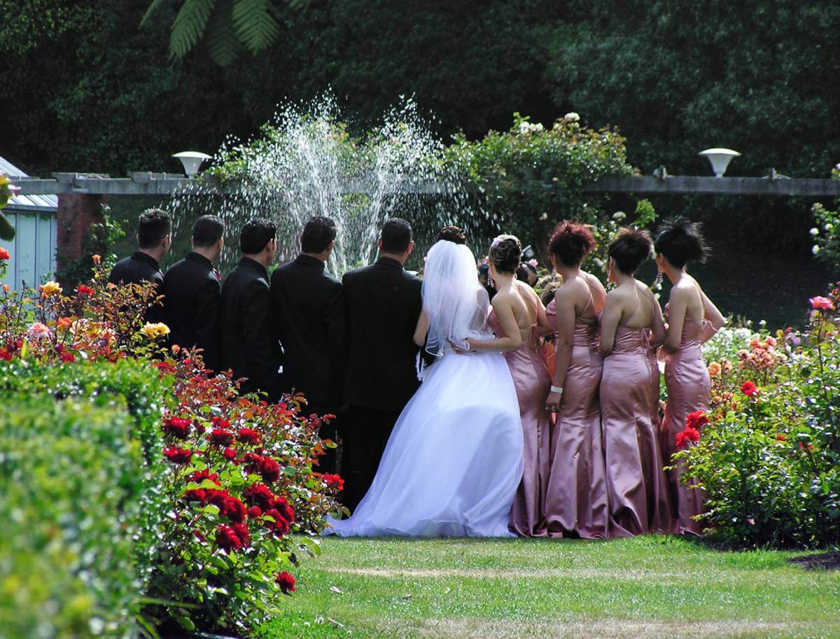 View from behind of a large wedding party outside in a garden by a fountain while a photo is being taken. Shows cybersecurity wedding success.