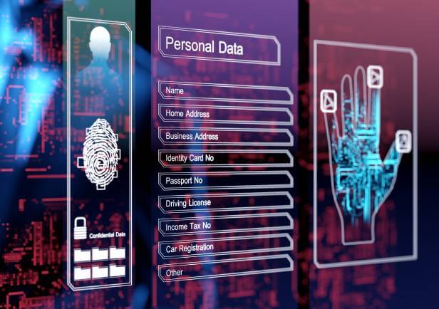 Computer screen showing categories of personal data and methods like finger print to protect an individual from AI identity theft.